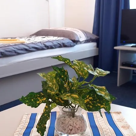 Sd Nemcovej 1 Vandrarhem *